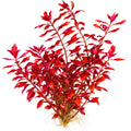 Ludwigia Palustris Super Red x 5 Stems