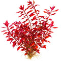 Ludwigia Palustris Super Red x 5 Stems featuring vibrant red leaves for aquascaping.